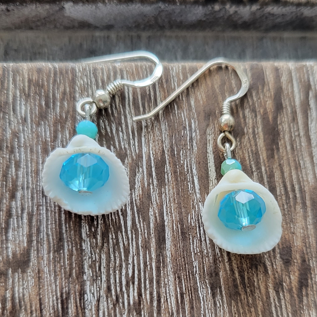 Cute Seashell Turquoise Earrings